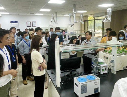 40余家機構(gòu)調(diào)研恒輝安防，國內(nèi)外雙循環(huán)布局與新材料投產(chǎn)助推業(yè)績增長