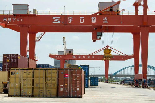 桐鄉三企領跑全省服務業，國內貿易代理服務數量居嘉興之首
